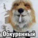 Fox House