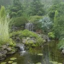 ★・ Zen Sanctuary・★ discord icon