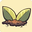 + ꒰ Sage's Forest ! ꒱ *.