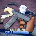 CrimeLife™