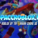 ShopAccRoblox.Com