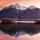 The Peace Keepers's icon