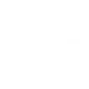 Diorchy
