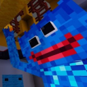 Ram Craft The Server