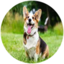 smd nuked by AMARI and skullz's icon