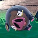   ~Pokémon S/V Casual~   Discord Server Icon