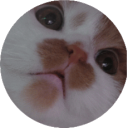 Munchiepawz