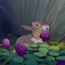 lilly's magical meadow
