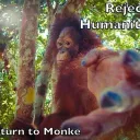 MonkeCord