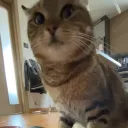 basalayang Discord Server Icon