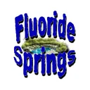 Fluoride Springs (Formerly Record Records)