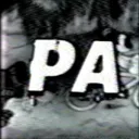 Palisade Advertisements