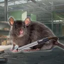 D3LT5s Rat Pack