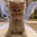 Secret Discord server icon