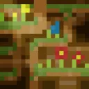 Zan's workshop