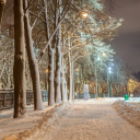 Midnight Society avatar