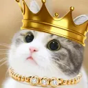 Cool Cats Cult