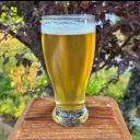 Fermenters United Homebrew Club