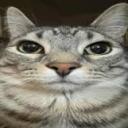 meow Discord Server Icon