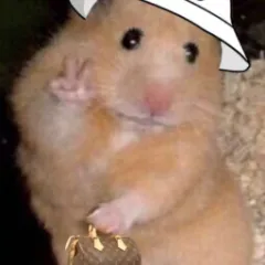 Deneme ve eğlence sunucusu Icon
