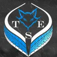 Tyr Simracing Esports