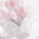 . flowerqie' rbx・ gws ㆍ♡