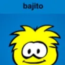Puffle Fanatics