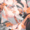 🌊 ✦ Bupie!¦Your Comfy Zone¦Anime, Art & Social