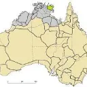 Yolngu Matha learning!