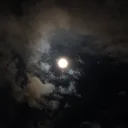 空き地の広場