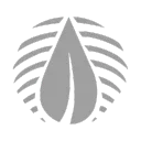 Amazon World Plant