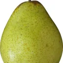 Servidor do código