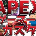 格ゲーマーカスタム