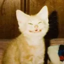 chill hangout's icon