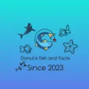 Donut's Pet's icon