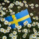 Swedish Learning Hangout