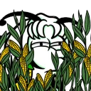 The Cornfield