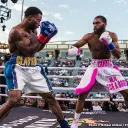 The Boxing Cult