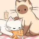 𓏲𑁘Feline love𓏲੭