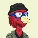 HO-HO Birds