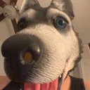 Spot's server