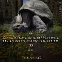 Church of the Holy Turtle (Soulsborne Community)
