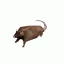 Lucigu's RatLair