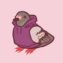 🪶 The Pigeon Coop 🪶
