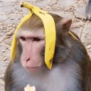 ragagoogey ™ Discord server icon