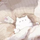Katze