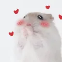 Hamster's corner