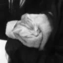 『 ylh 』── . Discord Server Icon