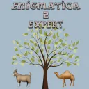 Camel Enigmatica
