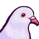 Clan Dove